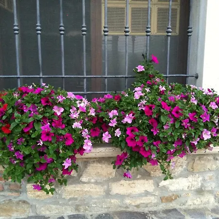 Bed & Breakfast La Cantina