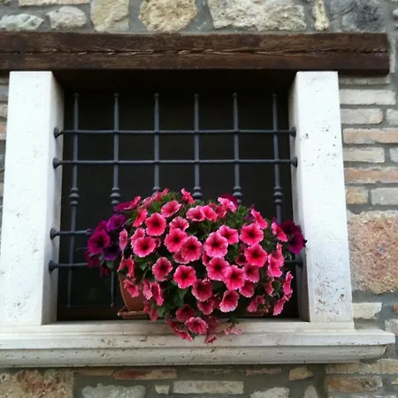 Bed & Breakfast La Cantina Ascoli Piceno