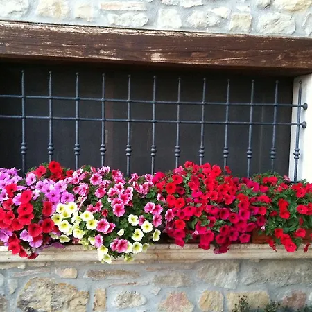 Bed & Breakfast La Cantina Ascoli Piceno