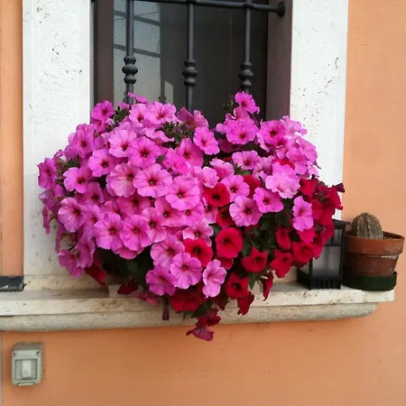Bed & Breakfast La Cantina