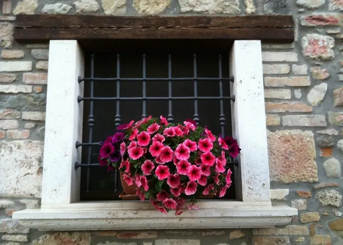 Bed & Breakfast La Cantina Ascoli Piceno