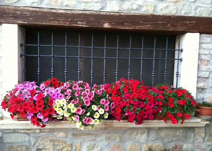 Bed & Breakfast La Cantina Ascoli Piceno